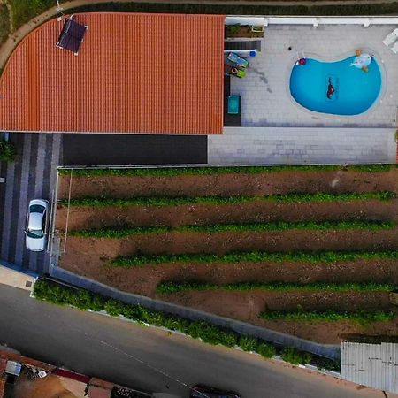 Casinha Das Bonecas - Casa Com Piscina Privada Aveiro Exterior photo